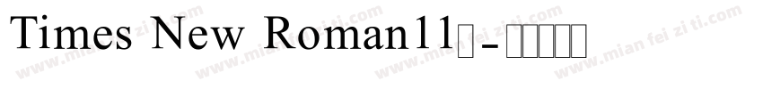 Times New Roman11号字体转换